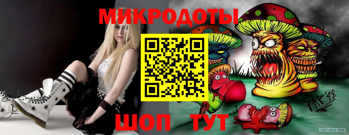 Галлюциногенные грибы Psilocybe Славгород