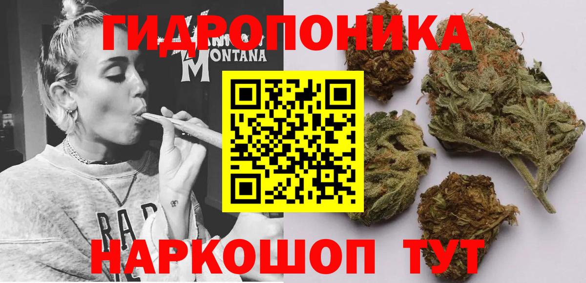 Бошки Шишки White Widow Славгород